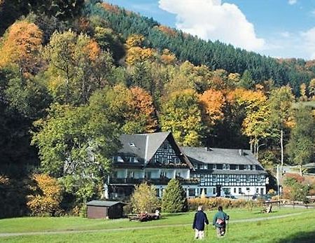 Tommes Gaestehaus Zur Muehle Schmallenberg Ngoại thất bức ảnh